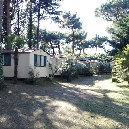 Villaggio Mithos Misano Adriatico Zewnętrze zdjęcie