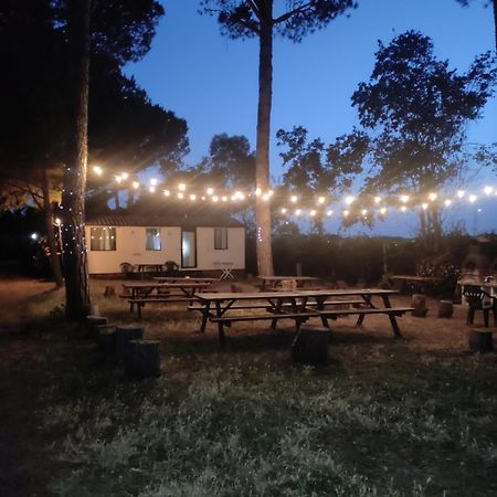 Villaggio Mithos Misano Adriatico Zewnętrze zdjęcie