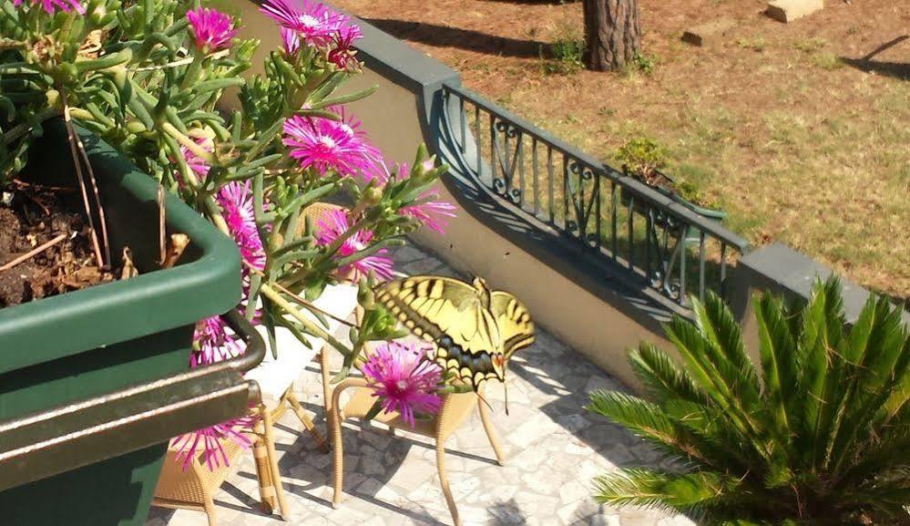 Villaggio Mithos Misano Adriatico Zewnętrze zdjęcie